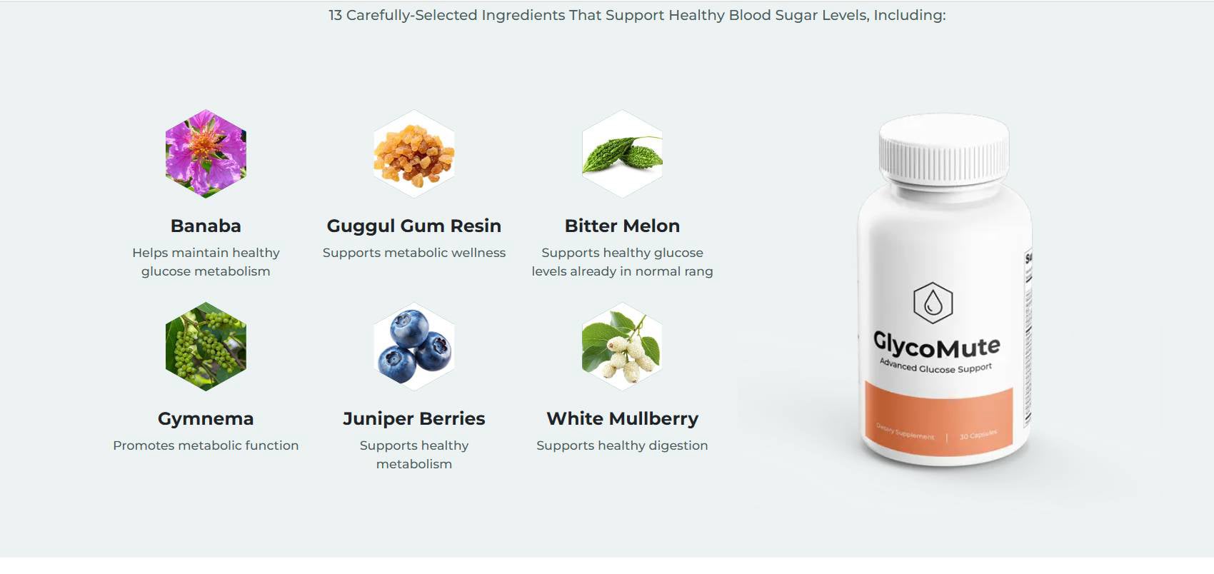 Ingredients Of GlycoMute